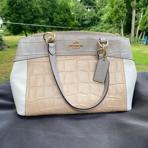 Coach Croc Embedded Multicolor Purse